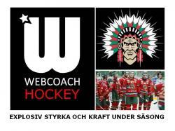 Webcoach Hockey i Fr&ouml;lundaborg